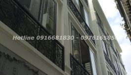 BÁN NHÀ ĐẤT XÂY MỚI Định Công Thượng, Định Công, Hoàng Mai, Hà Nội BÁN NHÀ ĐẤT XÂY MỚI Định Công Thượng, Định Công, Hoàng Mai, Hà Nội
